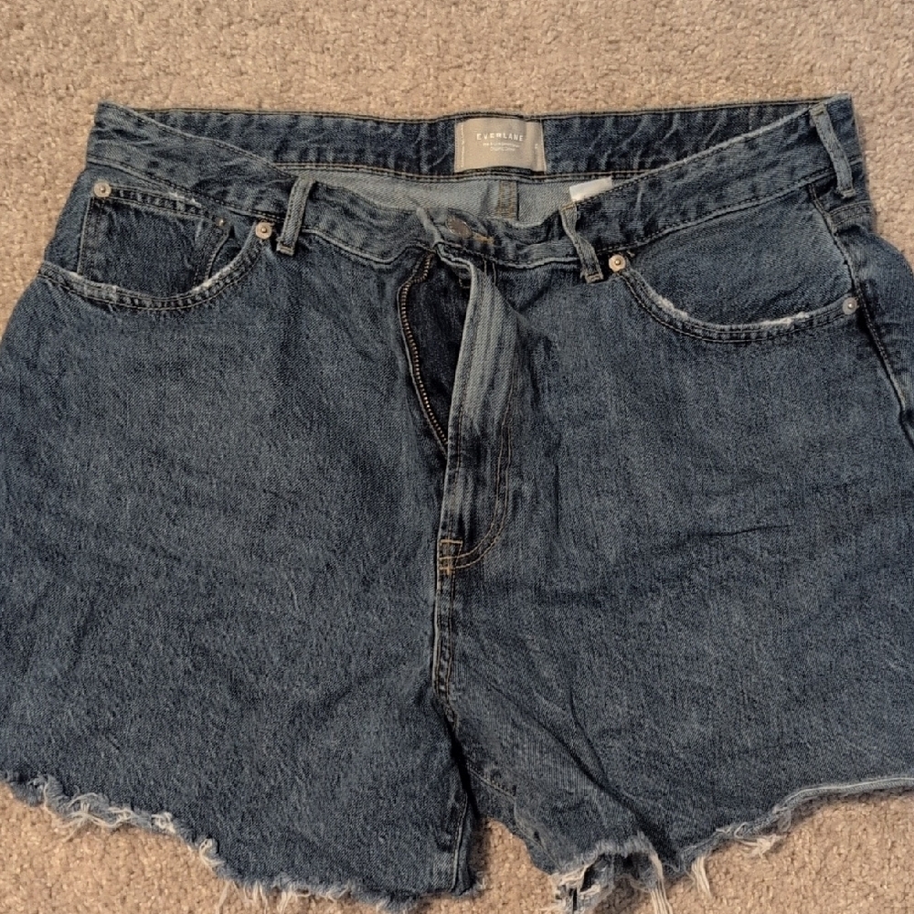 Everlane Blue Jean Shorts Distressed Raw Hem